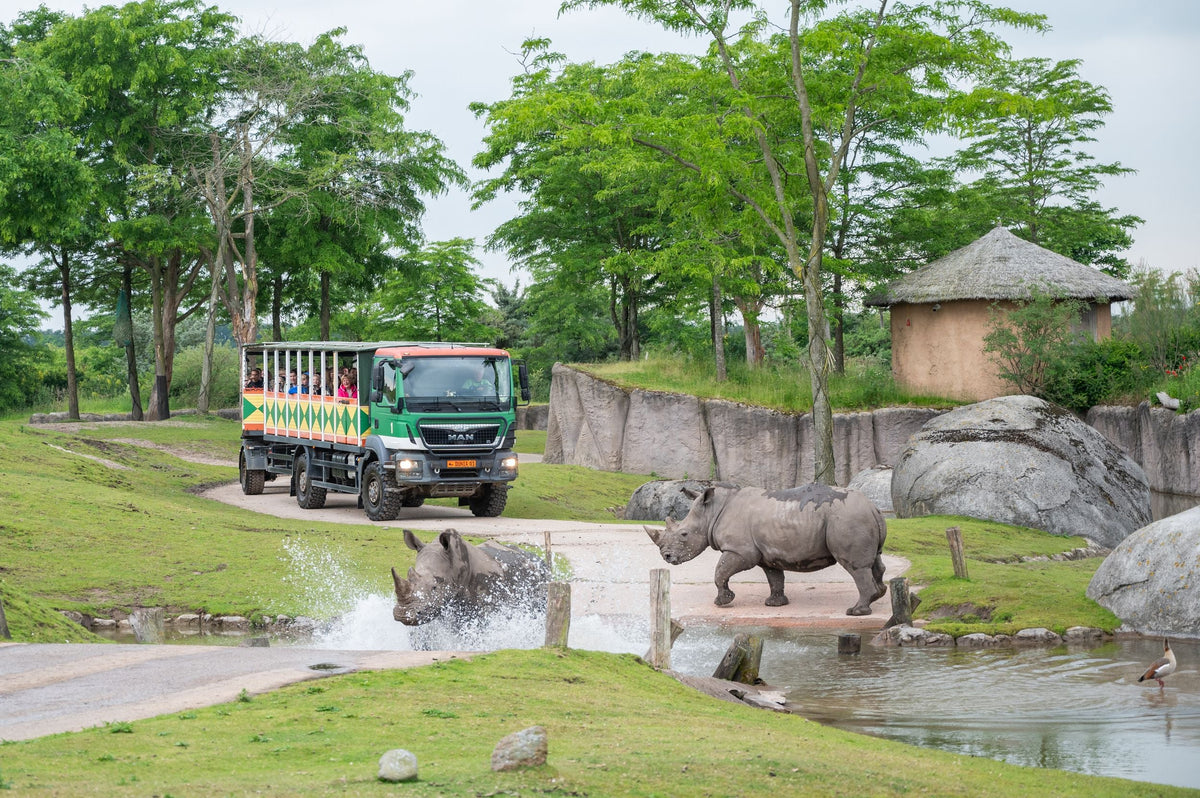 Wildlands Adventure Zoo Emmen - afbeelding 6